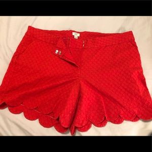 Red Crown & Ivy Shorts